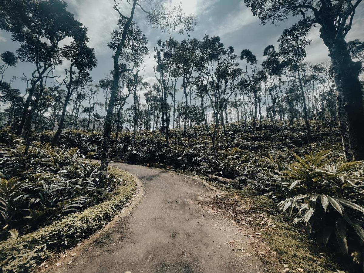 Mystic Mayapott, Thekkady Exterior foto