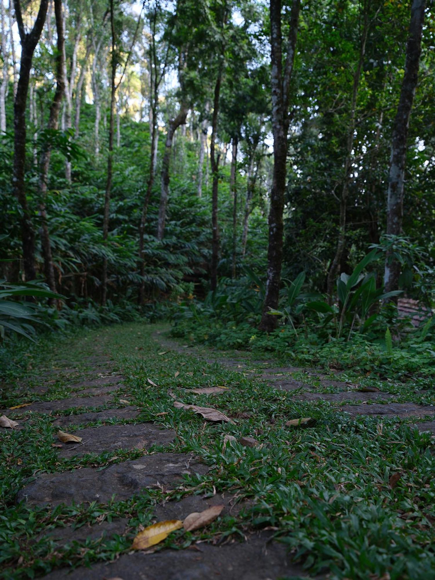 Mystic Mayapott, Thekkady Exterior foto