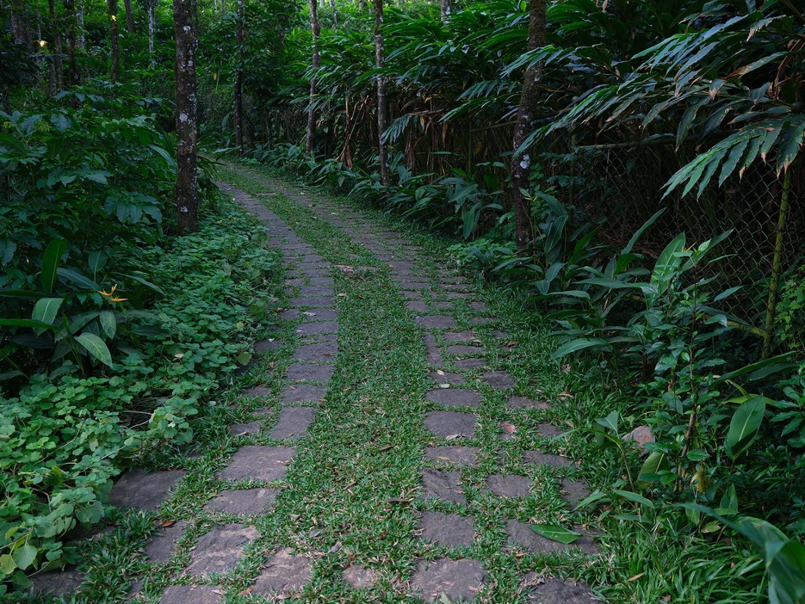 Mystic Mayapott, Thekkady Exterior foto